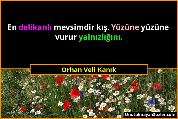 Orhan Veli Kanık - En delikanlı mevsimdir kış. Yüzüne yüzüne vurur yalnızlığını....