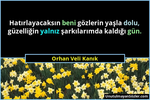 Orhan Veli Kanık - Hatırlayacaksın beni gözlerin yaşla dolu, güzelliğin yalnız şarkılarımda kaldığı gün....