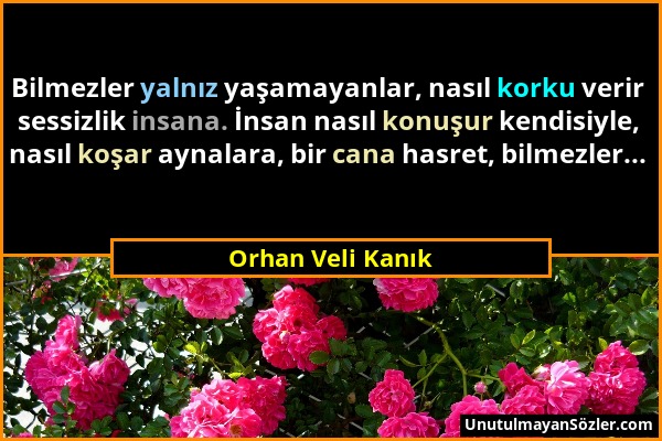 Orhan Veli Kanık - Bilmezler yalnız yaşamayanlar, nasıl korku verir sessizlik insana. İnsan nasıl konuşur kendisiyle, nasıl koşar aynalara, bir cana h...