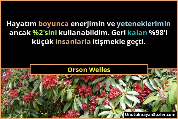 Orson Welles - Hayatım boyunca enerjimin ve yeteneklerimin ancak %2'sini kullanabildim. Geri kalan %98'i küçük insanlarla itişmekle geçti....