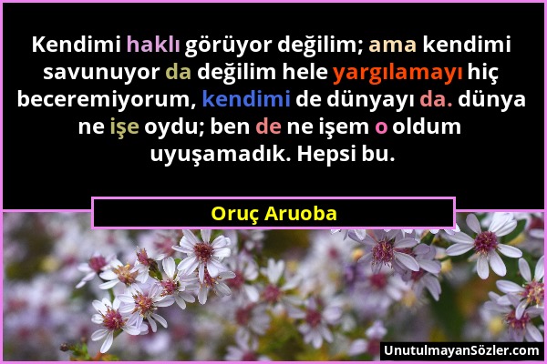 Oruç Aruoba - Kendimi haklı görüyor değilim; ama kendimi savunuyor da değilim hele yargılamayı hiç beceremiyorum, kendimi de dünyayı da. dünya ne işe...