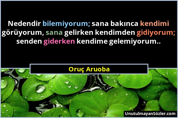 Oruç Aruoba - Nedendir bilemiyorum; sana bakınca kendimi görüyorum, sana gelirken kendimden gidiyorum; senden giderken kendime gelemiyorum.....