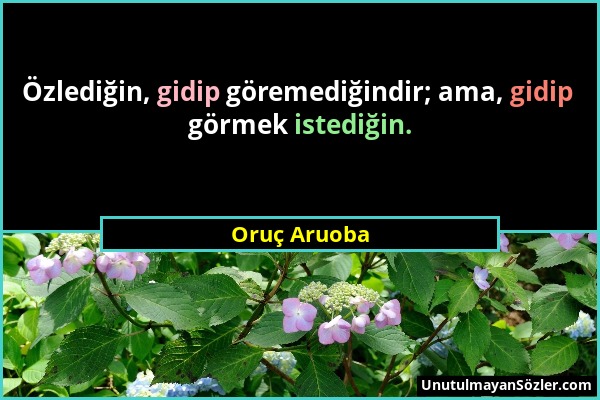 Oruç Aruoba - Özlediğin, gidip göremediğindir; ama, gidip görmek istediğin....