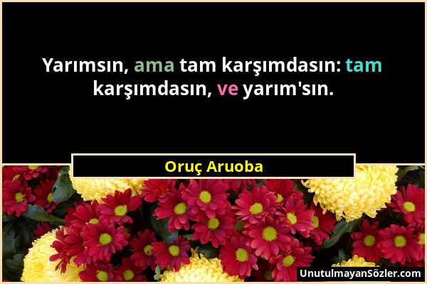 Oruç Aruoba - Yarımsın, ama tam karşımdasın: tam karşımdasın, ve yarım'sın....