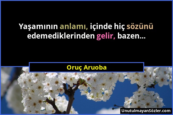 Oruç Aruoba - Yaşamının anlamı, içinde hiç sözünü edemediklerinden gelir, bazen......