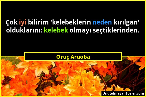 Oruç Aruoba - Çok iyi bilirim 'kelebeklerin neden kırılgan' olduklarını: kelebek olmayı seçtiklerinden....