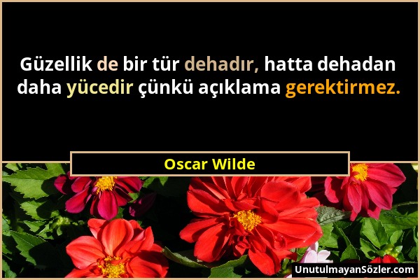 Oscar Wilde - Güzellik de bir tür dehadır, hatta dehadan daha yücedir çünkü açıklama gerektirmez....