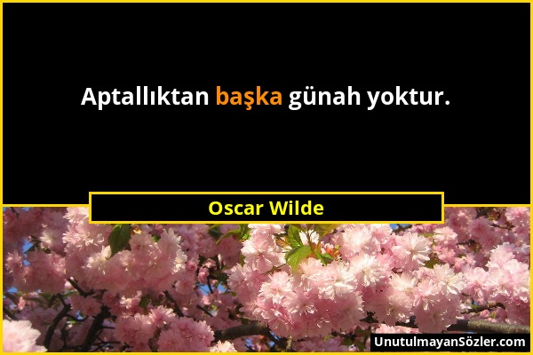 Oscar Wilde - Aptallıktan başka günah yoktur....