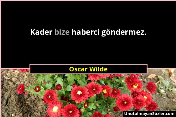 Oscar Wilde - Kader bize haberci göndermez....