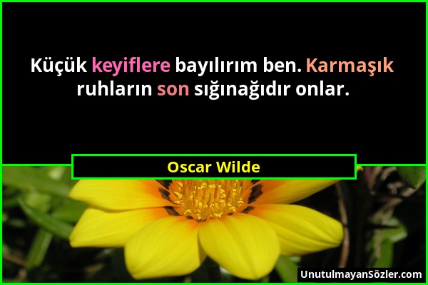 Oscar Wilde - Küçük keyiflere bayılırım ben. Karmaşık ruhların son sığınağıdır onlar....