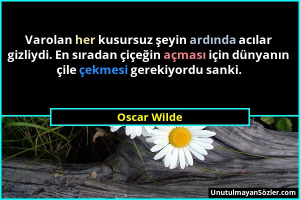 Oscar Wilde - Varolan her kusursuz şeyin ardında acılar gizliydi. En sıradan çiçeğin açması için dünyanın çile çekmesi gerekiyordu sanki....