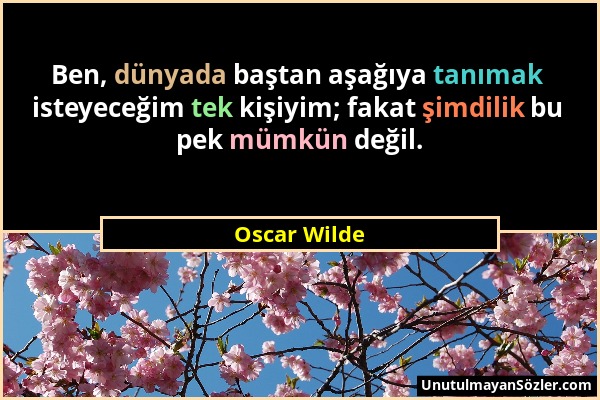 Oscar Wilde - Ben, dünyada baştan aşağıya tanımak isteyeceğim tek kişiyim; fakat şimdilik bu pek mümkün değil....