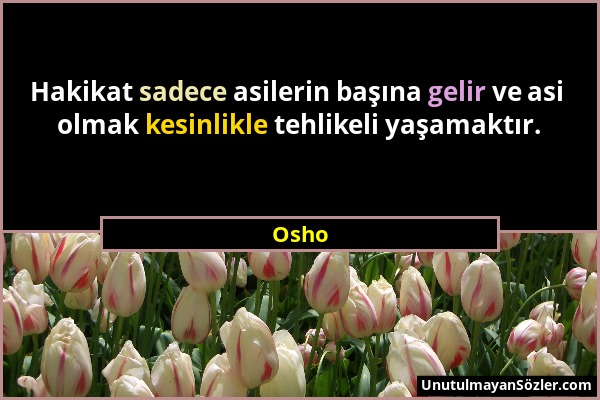 Osho - Hakikat sadece asilerin başına gelir ve asi olmak kesinlikle tehlikeli yaşamaktır....
