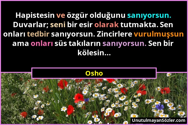 Osho - Hapistesin ve özgür olduğunu sanıyorsun. Duvarlar; seni bir esir olarak tutmakta. Sen onları tedbir sanıyorsun. Zincirlere vurulmuşsun ama onla...