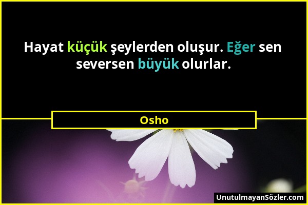 Osho - Hayat küçük şeylerden oluşur. Eğer sen seversen büyük olurlar....