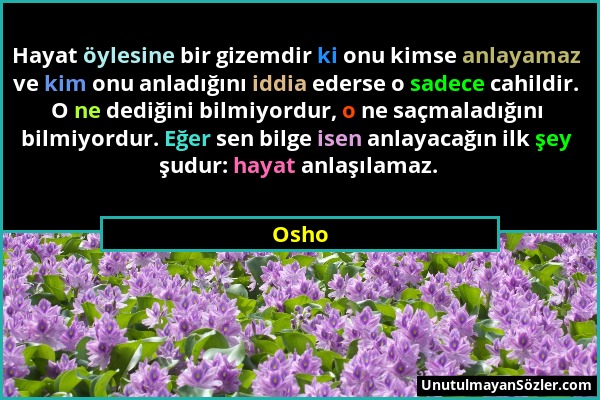 Osho - Hayat öylesine bir gizemdir ki onu kimse anlayamaz ve kim onu anladığını iddia ederse o sadece cahildir. O ne dediğini bilmiyordur, o ne saçmal...