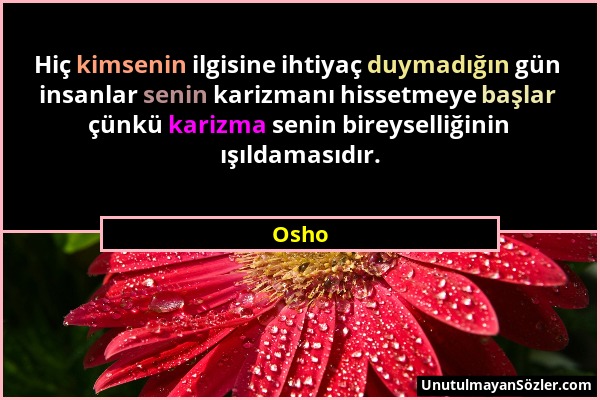Osho - Hiç kimsenin ilgisine ihtiyaç duymadığın gün insanlar senin karizmanı hissetmeye başlar çünkü karizma senin bireyselliğinin ışıldamasıdır....