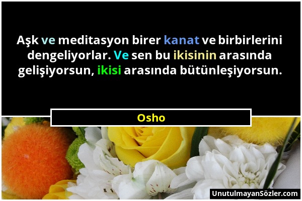 Osho - Aşk ve meditasyon birer kanat ve birbirlerini dengeliyorlar. Ve sen bu ikisinin arasında gelişiyorsun, ikisi arasında bütünleşiyorsun....