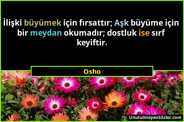 Osho - İlişki büyümek için fırsattır; Aşk büyüme için bir meydan okumadır; dostluk ise sırf keyiftir....
