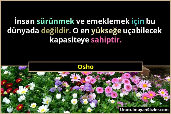 Osho - İnsan sürünmek ve emeklemek için bu dünyada değildir. O en yükseğe uçabilecek kapasiteye sahiptir....