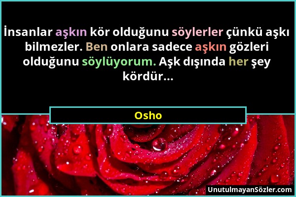 Osho - İnsanlar aşkın kör olduğunu söylerler çünkü aşkı bilmezler. Ben onlara sadece aşkın gözleri olduğunu söylüyorum. Aşk dışında her şey kördür......