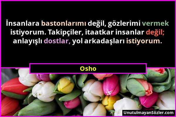 Osho - İnsanlara bastonlarımı değil, gözlerimi vermek istiyorum. Takipçiler, itaatkar insanlar değil; anlayışlı dostlar, yol arkadaşları istiyorum....