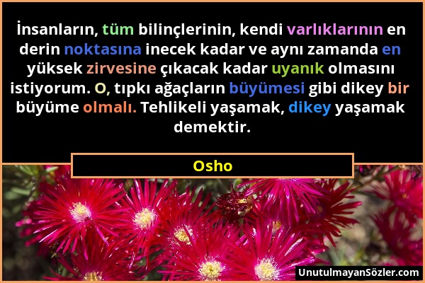 Osho - İnsanların, tüm bilinçlerinin, kendi varlıklarının en derin noktasına inecek kadar ve aynı zamanda en yüksek zirvesine çıkacak kadar uyanık olm...
