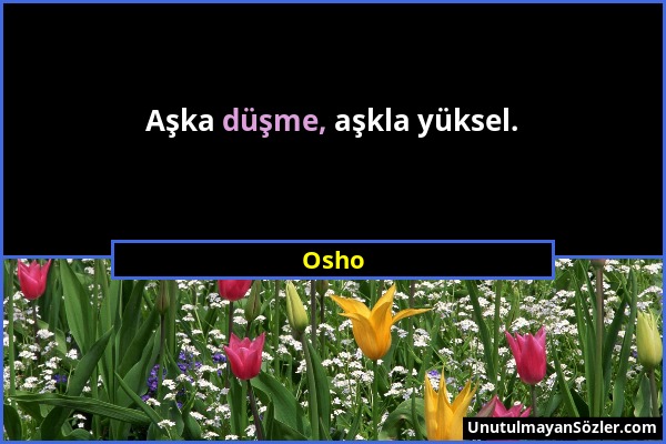 Osho - Aşka düşme, aşkla yüksel....