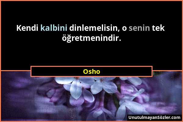 Osho - Kendi kalbini dinlemelisin, o senin tek öğretmenindir....