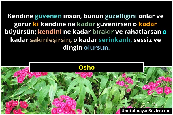 Osho - Kendine güvenen insan, bunun güzelliğini anlar ve görür ki kendine ne kadar güvenirsen o kadar büyürsün; kendini ne kadar bırakır ve rahatlarsa...