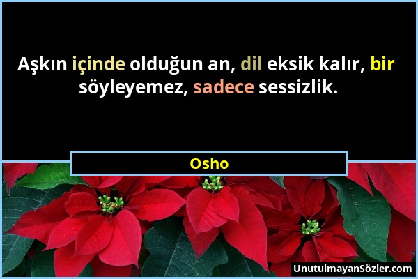 Osho - Aşkın içinde olduğun an, dil eksik kalır, bir söyleyemez, sadece sessizlik....