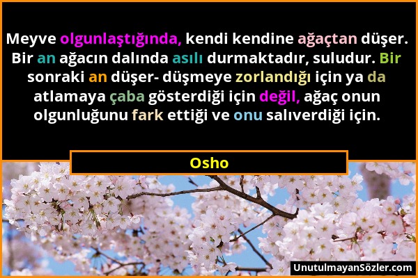 Osho - Meyve olgunlaştığında, kendi kendine ağaçtan düşer. Bir an ağacın dalında asılı durmaktadır, suludur. Bir sonraki an düşer- düşmeye zorlandığı...