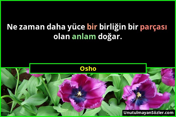 Osho - Ne zaman daha yüce bir birliğin bir parçası olan anlam doğar....