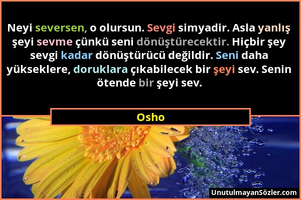 Osho - Neyi seversen, o olursun. Sevgi simyadir. Asla yanlış şeyi sevme çünkü seni dönüştürecektir. Hiçbir şey sevgi kadar dönüştürücü değildir. Seni...