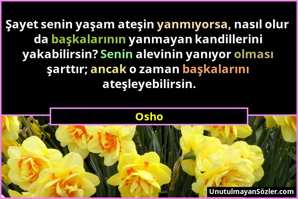 Osho - Şayet senin yaşam ateşin yanmıyorsa, nasıl olur da başkalarının yanmayan kandillerini yakabilirsin? Senin alevinin yanıyor olması şarttır; anca...