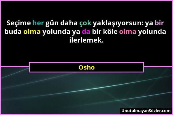 Osho - Seçime her gün daha çok yaklaşıyorsun: ya bir buda olma yolunda ya da bir köle olma yolunda ilerlemek....