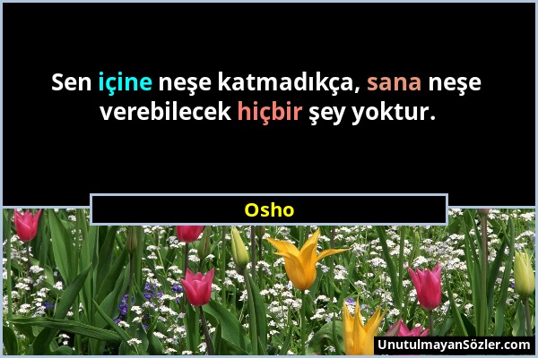 Osho - Sen içine neşe katmadıkça, sana neşe verebilecek hiçbir şey yoktur....