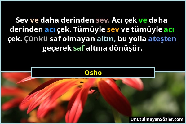 Osho - Sev ve daha derinden sev. Acı çek ve daha derinden acı çek. Tümüyle sev ve tümüyle acı çek. Çünkü saf olmayan altın, bu yolla ateşten geçerek s...
