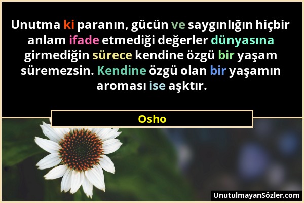 Osho - Unutma ki paranın, gücün ve saygınlığın hiçbir anlam ifade etmediği değerler dünyasına girmediğin sürece kendine özgü bir yaşam süremezsin. Ken...