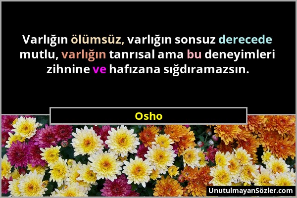 Osho - Varlığın ölümsüz, varlığın sonsuz derecede mutlu, varlığın tanrısal ama bu deneyimleri zihnine ve hafızana sığdıramazsın....