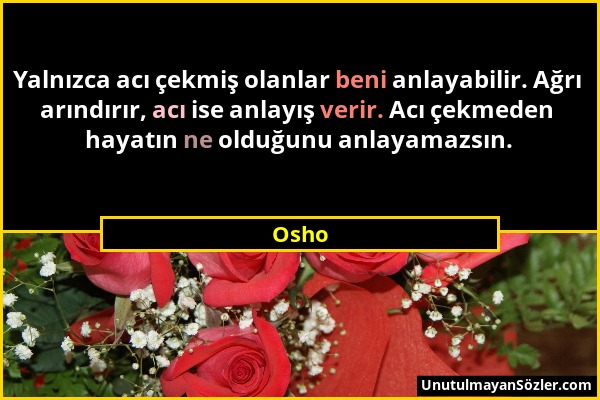 Osho - Yalnızca acı çekmiş olanlar beni anlayabilir. Ağrı arındırır, acı ise anlayış verir. Acı çekmeden hayatın ne olduğunu anlayamazsın....