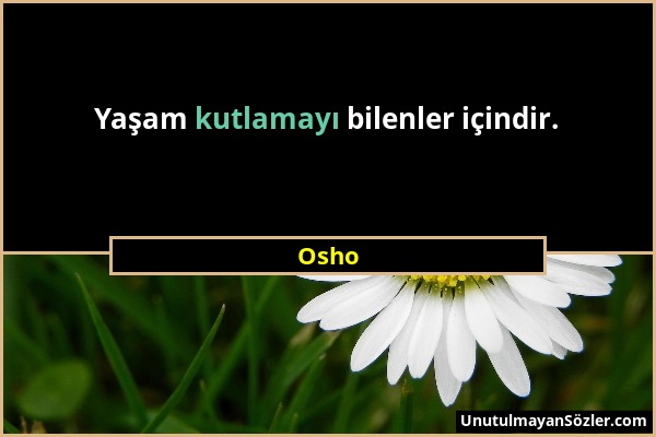 Osho - Yaşam kutlamayı bilenler içindir....