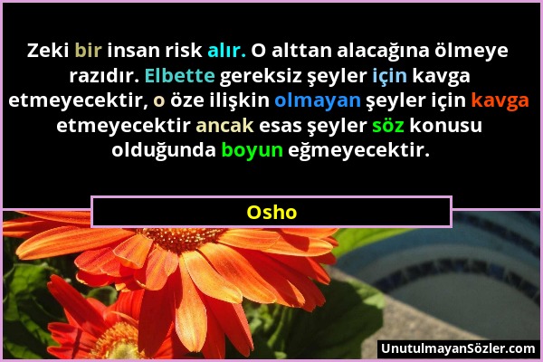 Osho - Zeki bir insan risk alır. O alttan alacağına ölmeye razıdır. Elbette gereksiz şeyler için kavga etmeyecektir, o öze ilişkin olmayan şeyler için...