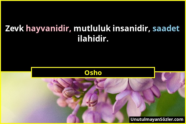 Osho - Zevk hayvanidir, mutluluk insanidir, saadet ilahidir....