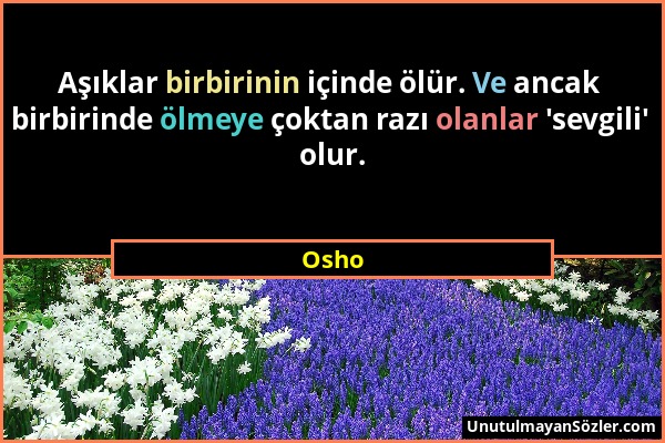 Osho - Aşıklar birbirinin içinde ölür. Ve ancak birbirinde ölmeye çoktan razı olanlar 'sevgili' olur....