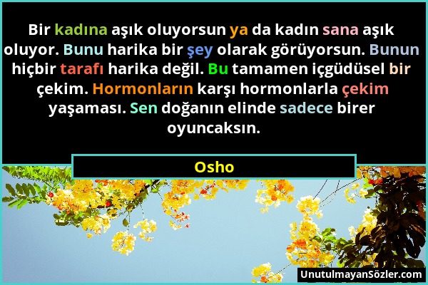 Osho - Bir kadına aşık oluyorsun ya da kadın sana aşık oluyor. Bunu harika bir şey olarak görüyorsun. Bunun hiçbir tarafı harika değil. Bu tamamen içg...