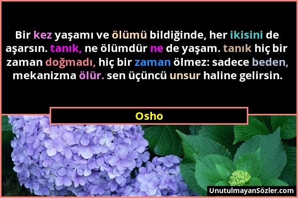 Osho - Bir kez yaşamı ve ölümü bildiğinde, her ikisini de aşarsın. tanık, ne ölümdür ne de yaşam. tanık hiç bir zaman doğmadı, hiç bir zaman ölmez: sa...