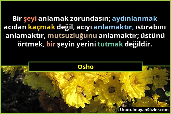 Osho - Bir şeyi anlamak zorundasın; aydınlanmak acıdan kaçmak değil, acıyı anlamaktır, ıstırabını anlamaktır, mutsuzluğunu anlamaktır; üstünü örtmek,...