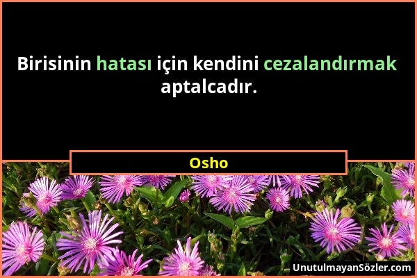 Osho - Birisinin hatası için kendini cezalandırmak aptalcadır....