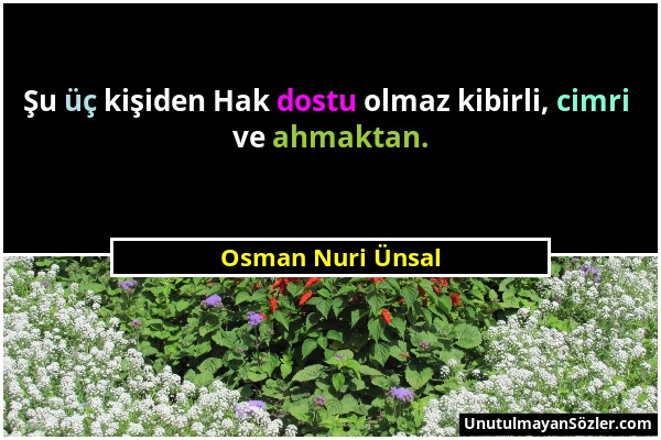 Osman Nuri Ünsal - Şu üç kişiden Hak dostu olmaz kibirli, cimri ve ahmaktan....